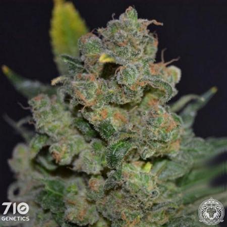 Image of 710 Cheese