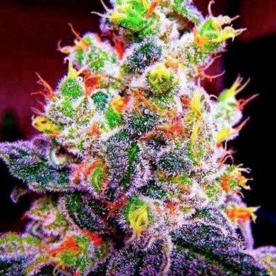 Image of Fruity Pebbles