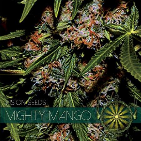 Image of Mighty Mango Bud seeds