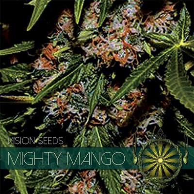 Image of Mighty Mango Bud