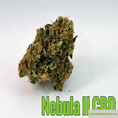 Image of Nebula II CBD