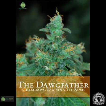 Image of The Dawgfather seeds