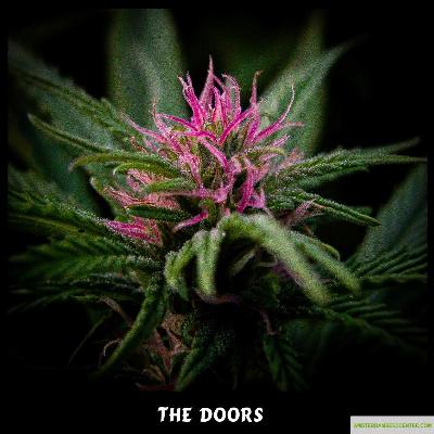 Image of The Doors seeds
