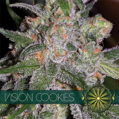Image of Vision Cookies