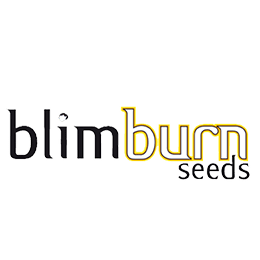Image of BlimBurn Seeds