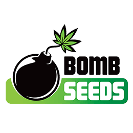 Image of Bomb Seeds