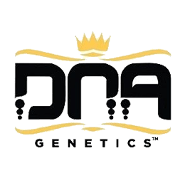 Image of DNA Genetics