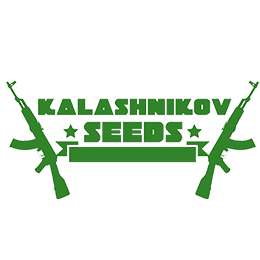 Image of breeder Kalashnikov Seeds
