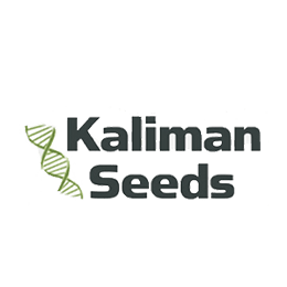 Image of Kaliman Seeds