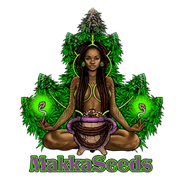 Image of Makka Seeds