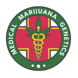 Image of Medical Marijuana Genetics