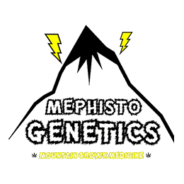 Image of Mephisto Genetics