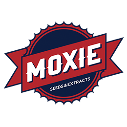 Image of Moxie Seeds