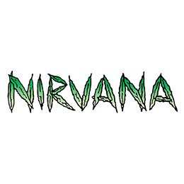 Image of Nirvana