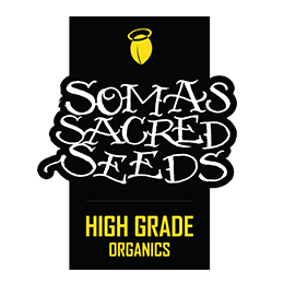 Image of Somas Sacred Seeds