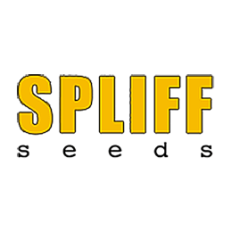 Image of Spliff Seeds