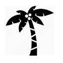 Hawai’i ‘78 seeds